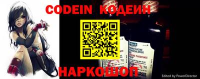прущие грибы Новозыбков
