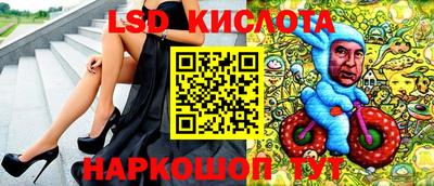 прущие грибы Новозыбков