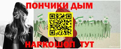 прущие грибы Новозыбков